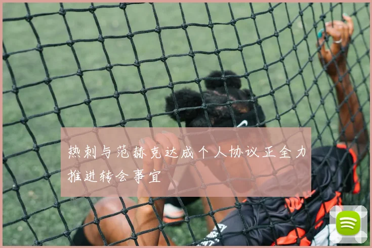 热刺与范赫克达成个人协议正全力推进转会事宜