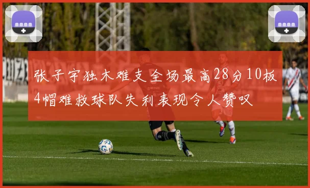 张子宇独木难支全场最高28分10板4帽难救球队失利表现令人赞叹